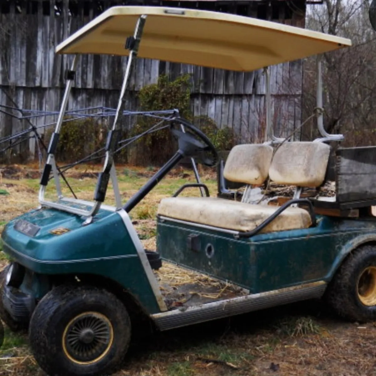 Golf buggy in need of......