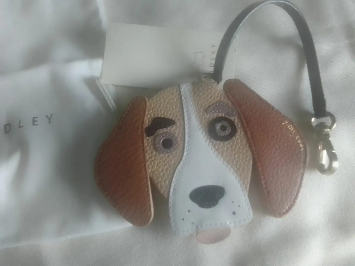 RADLEY LONDON COIN PURSE limited edition NEW - Image 1