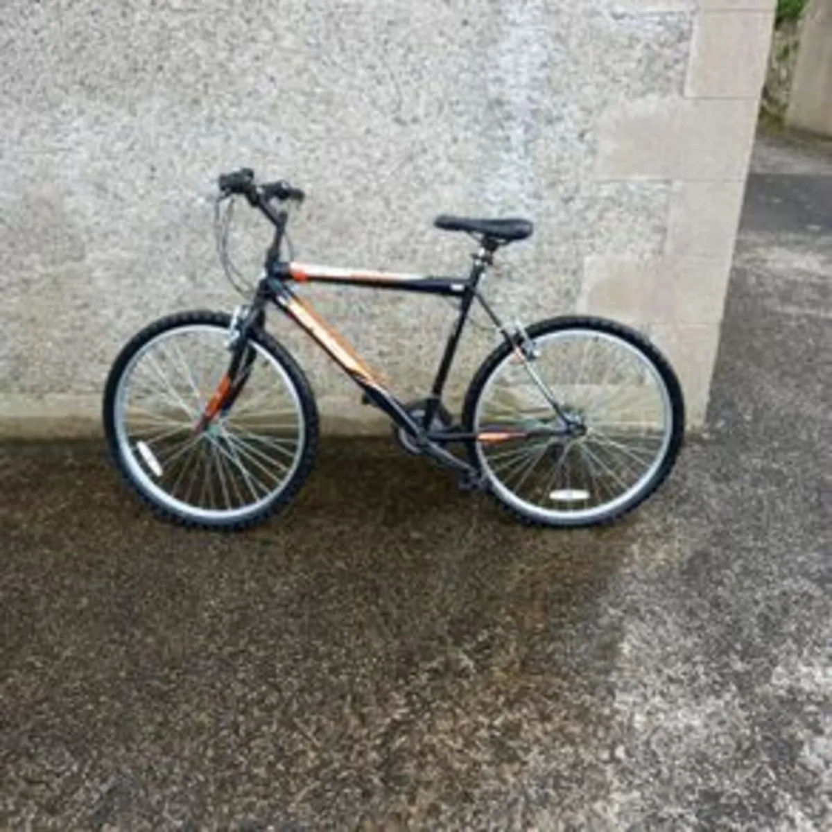 Mountain bike - Image 1