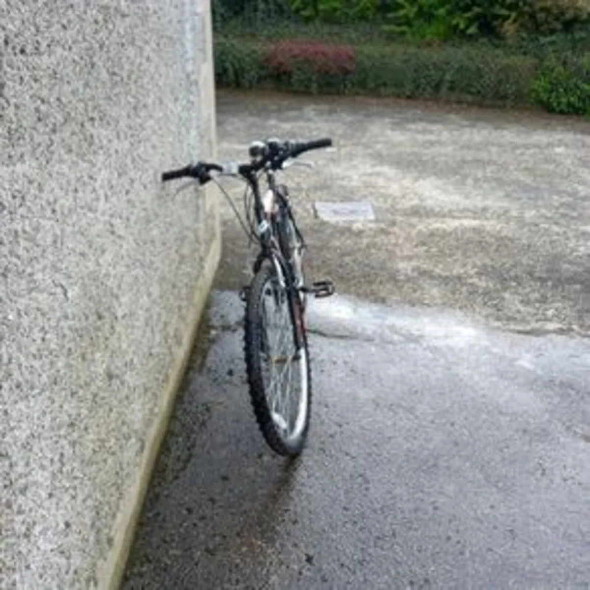 Mountain bike - Image 2