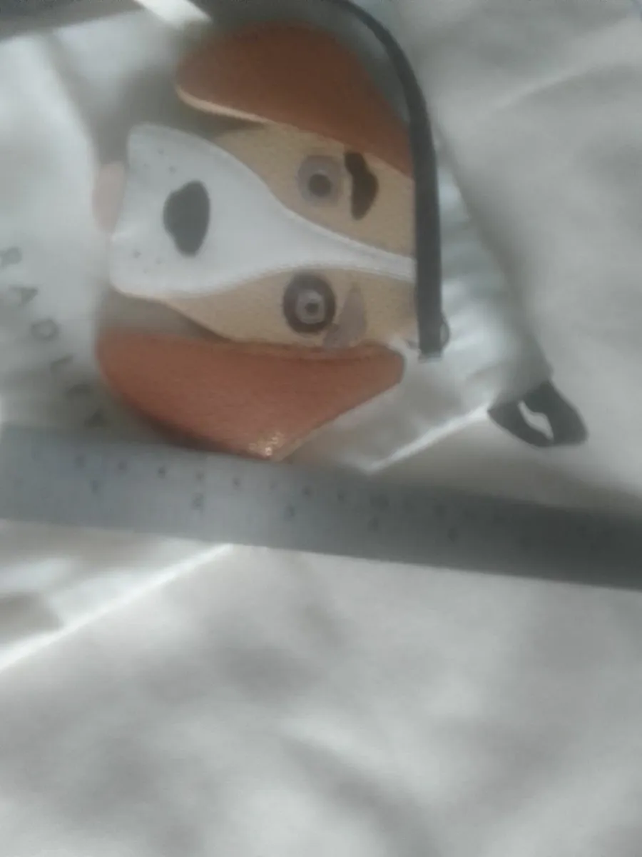 RADLEY LONDON COIN PURSE limited edition NEW - Image 2