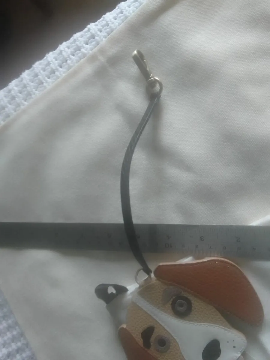 RADLEY LONDON COIN PURSE limited edition NEW - Image 3