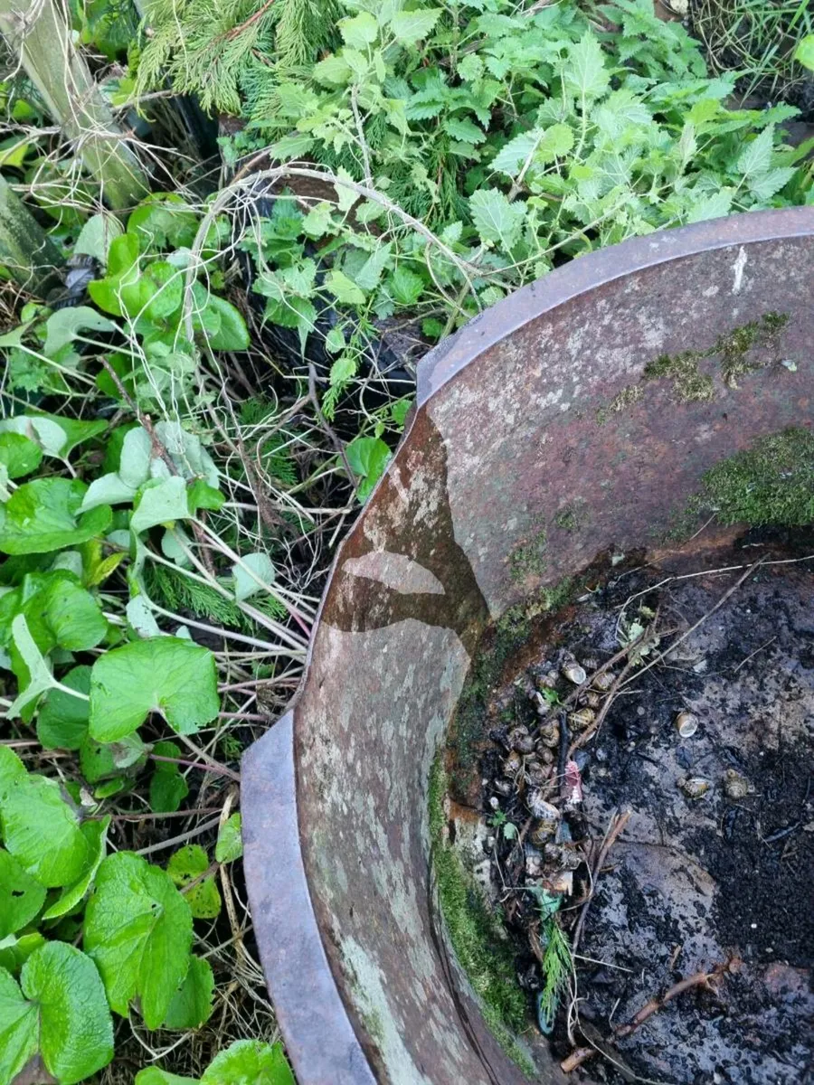 Original old famine pot contact me for more - Image 4