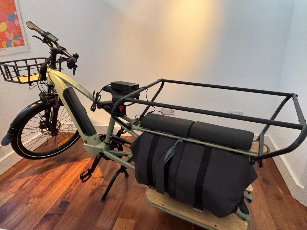 Electric Cargo Bike - Image 2
