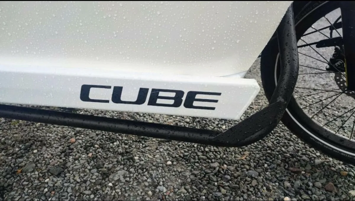 Cargo Bosch ebike - Image 2