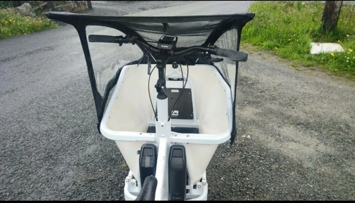 Cargo Bosch ebike 2 battry - Image 4