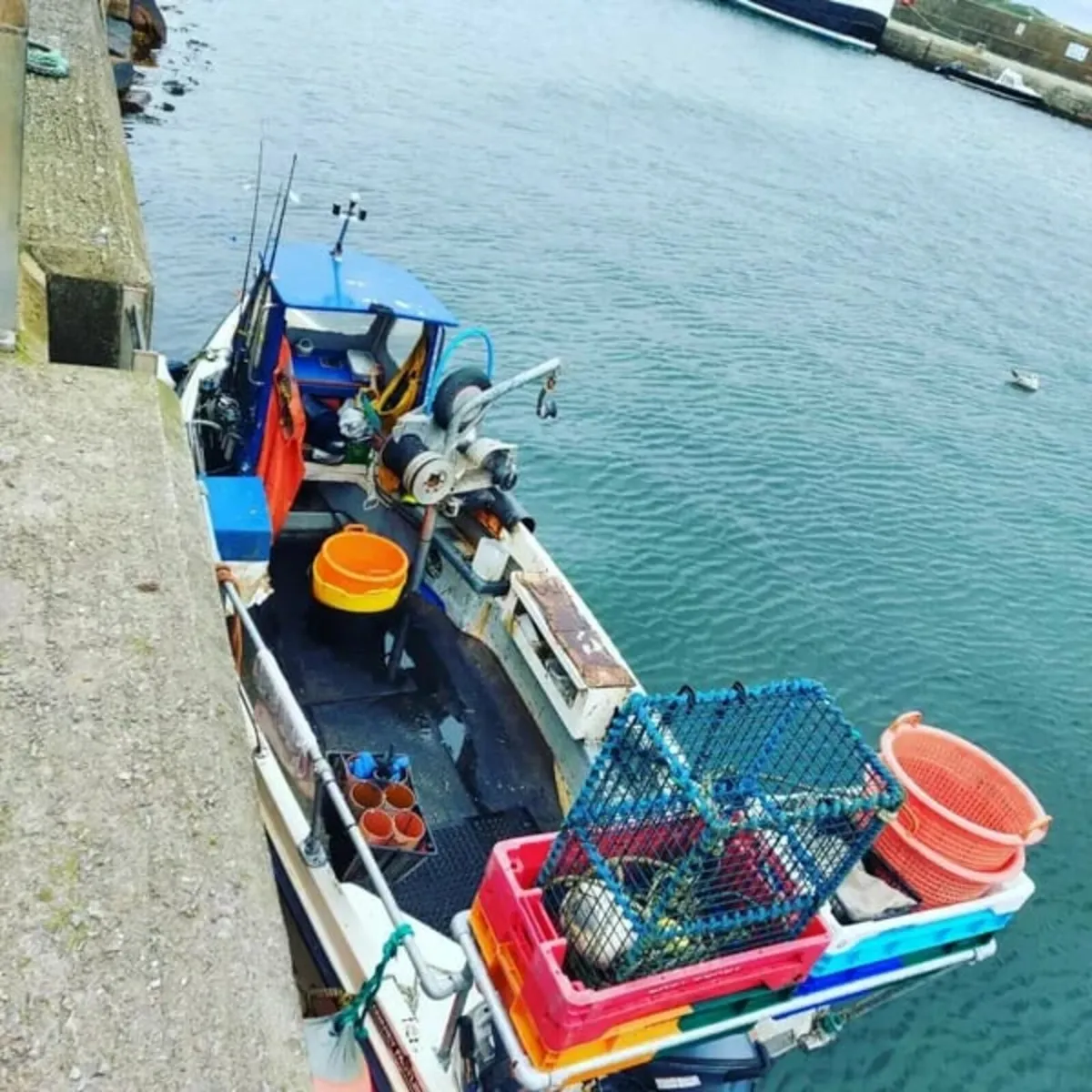 19ft boat and licence - Image 1