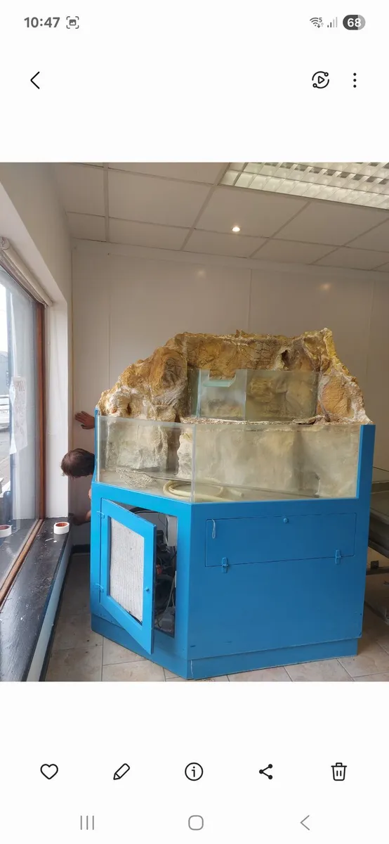 Lobster Tank - Image 1