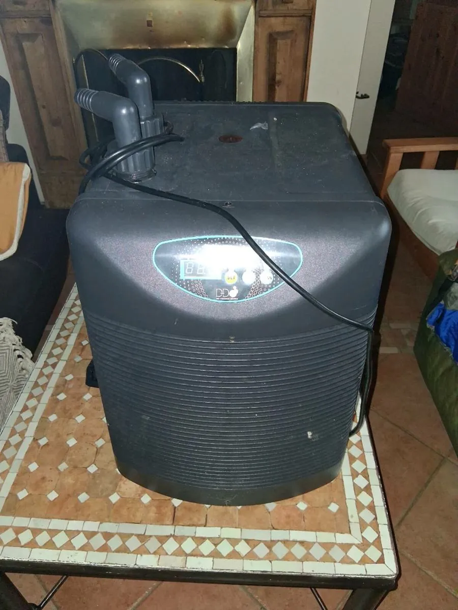 Lobster Tank - Image 3