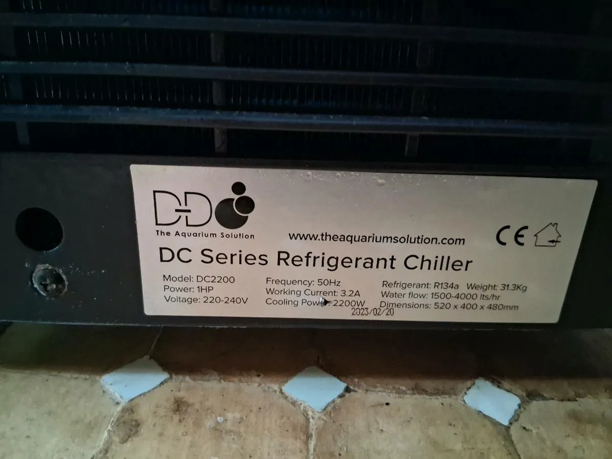 Lobster Tank - Image 4