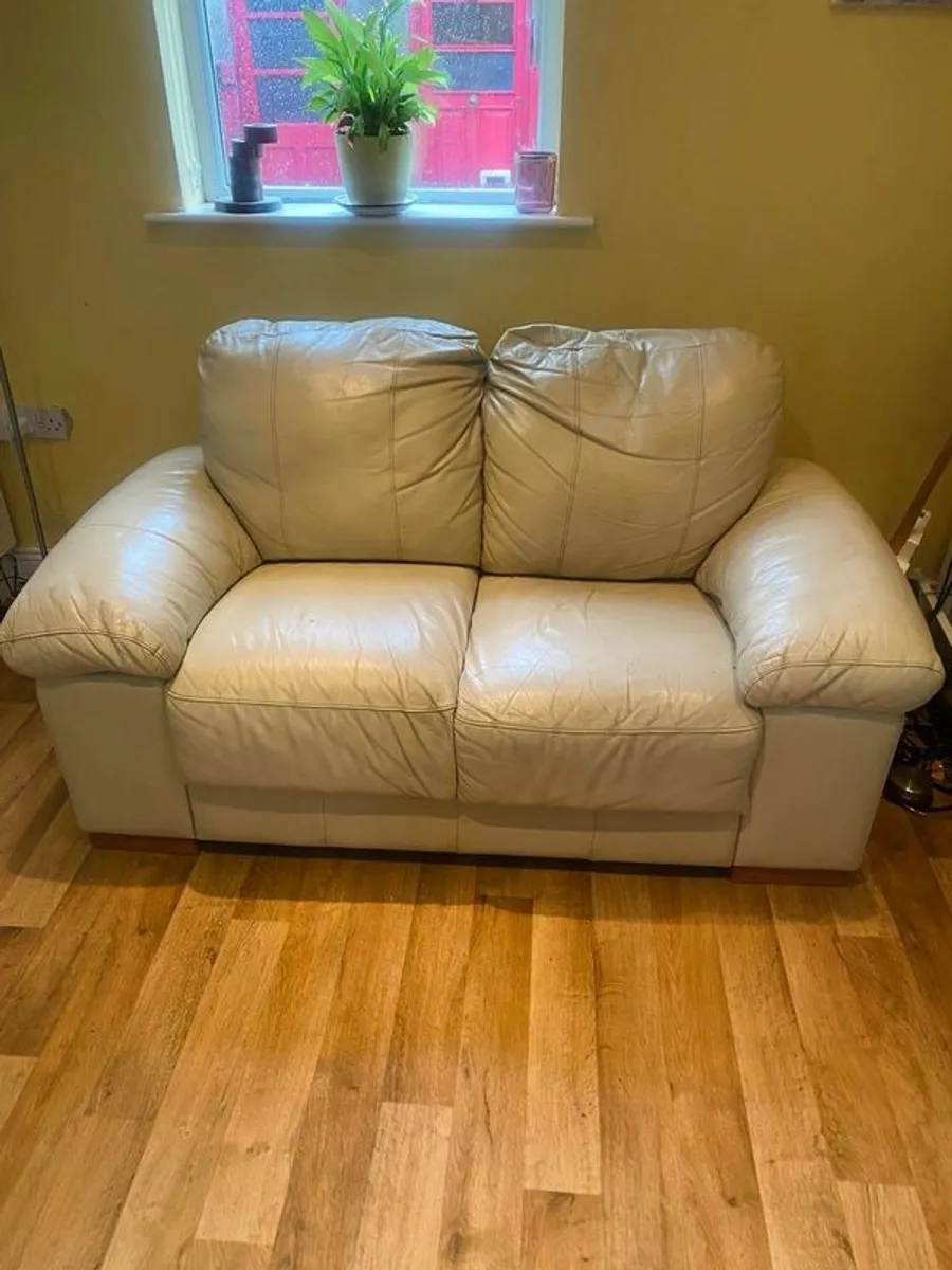 2 seater leather couch