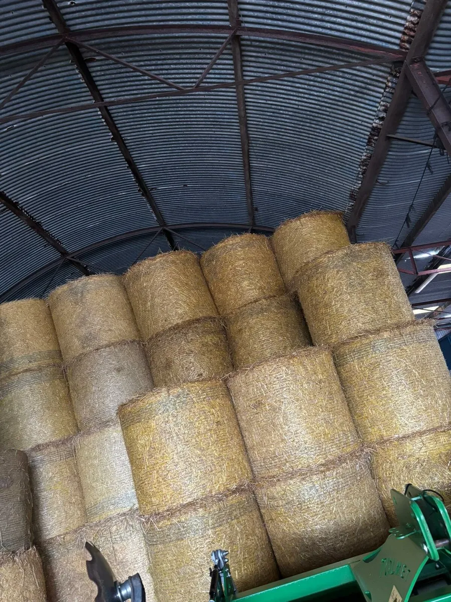 Oaten Straw - Image 2