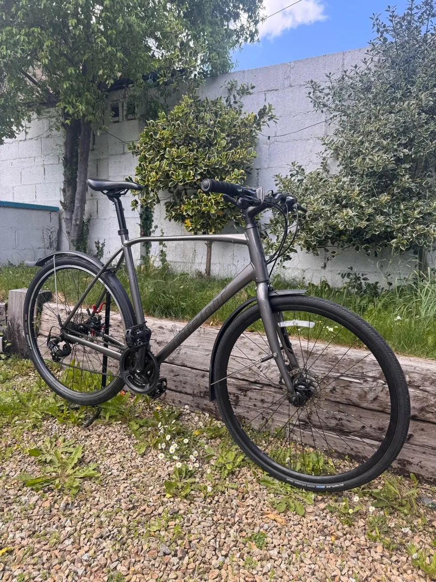 Giant Escape Hybrid Bike - Image 3