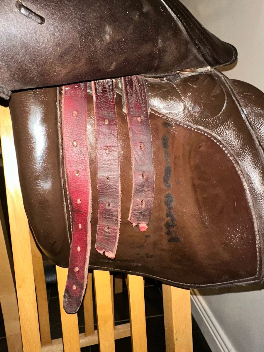 Berney Brothers saddle - Image 3
