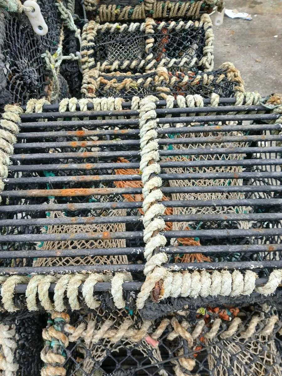 Lobster pots - Image 1