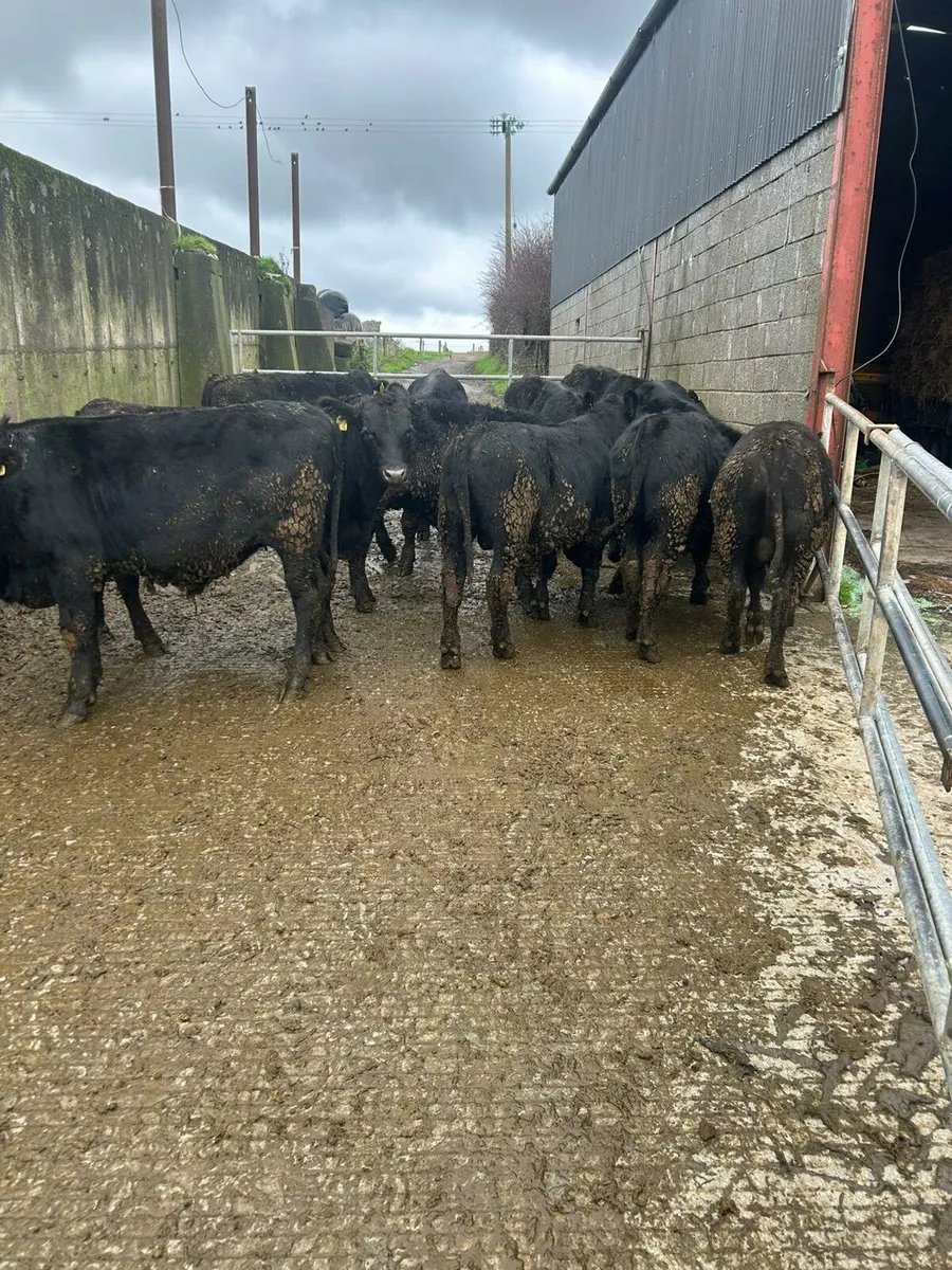 Head for the kingdoms capital - Image 1