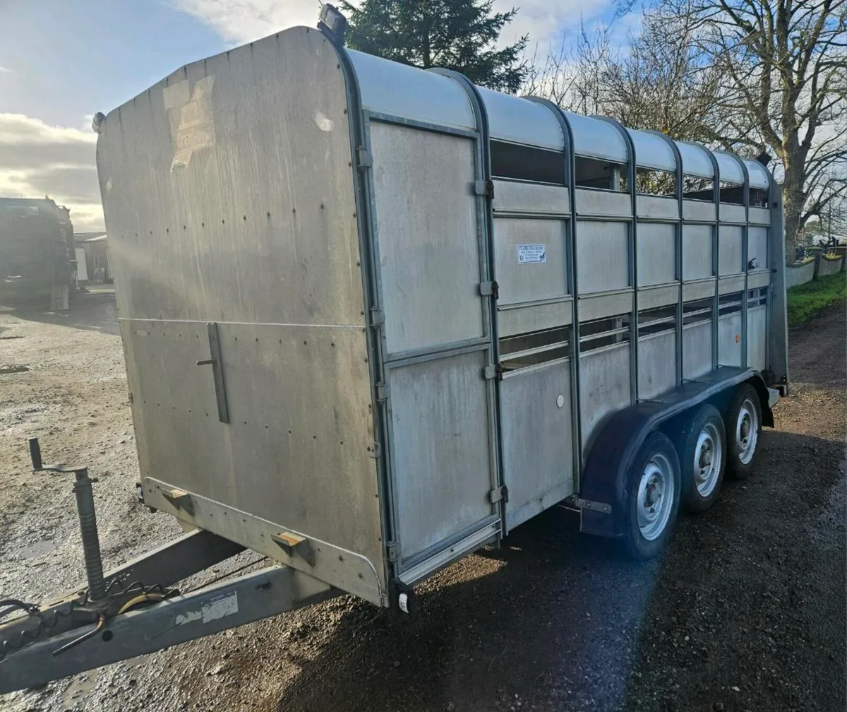 IVOR WILLIAMS - Image 2