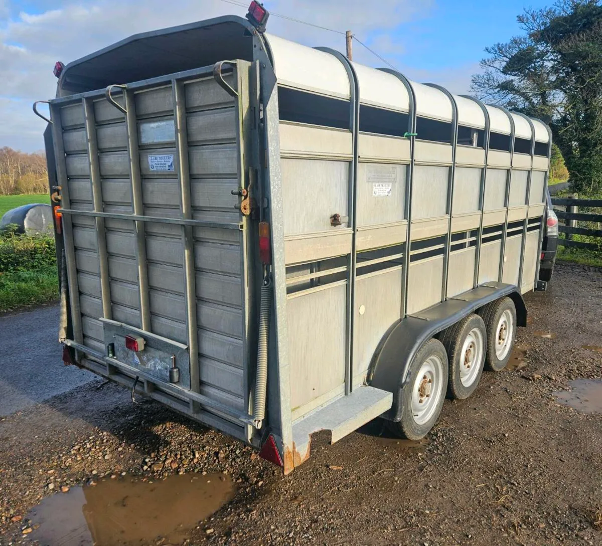 IVOR WILLIAMS - Image 4