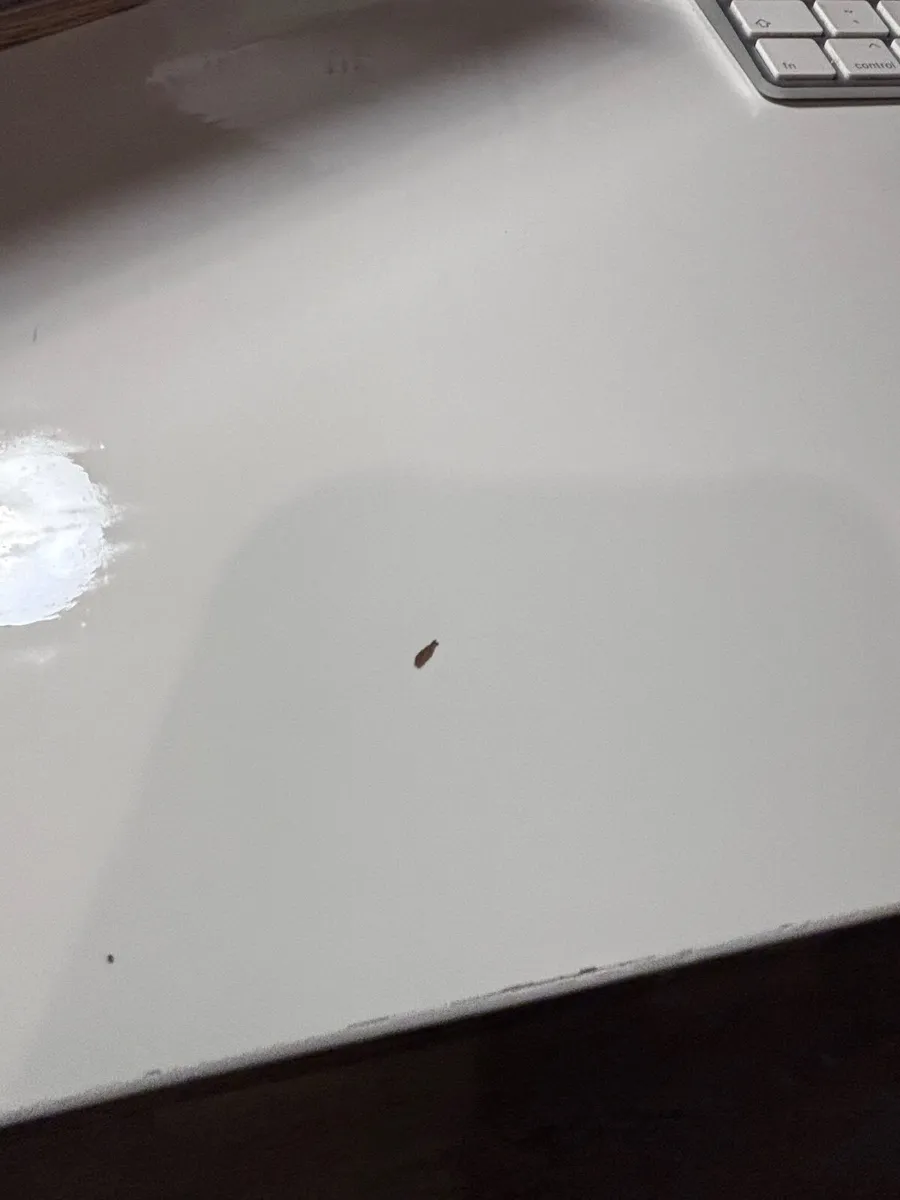 White office Desk w/ extra Drawer unit - Image 2