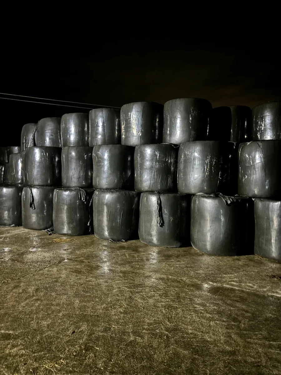 Round Bales of Silage - Image 1