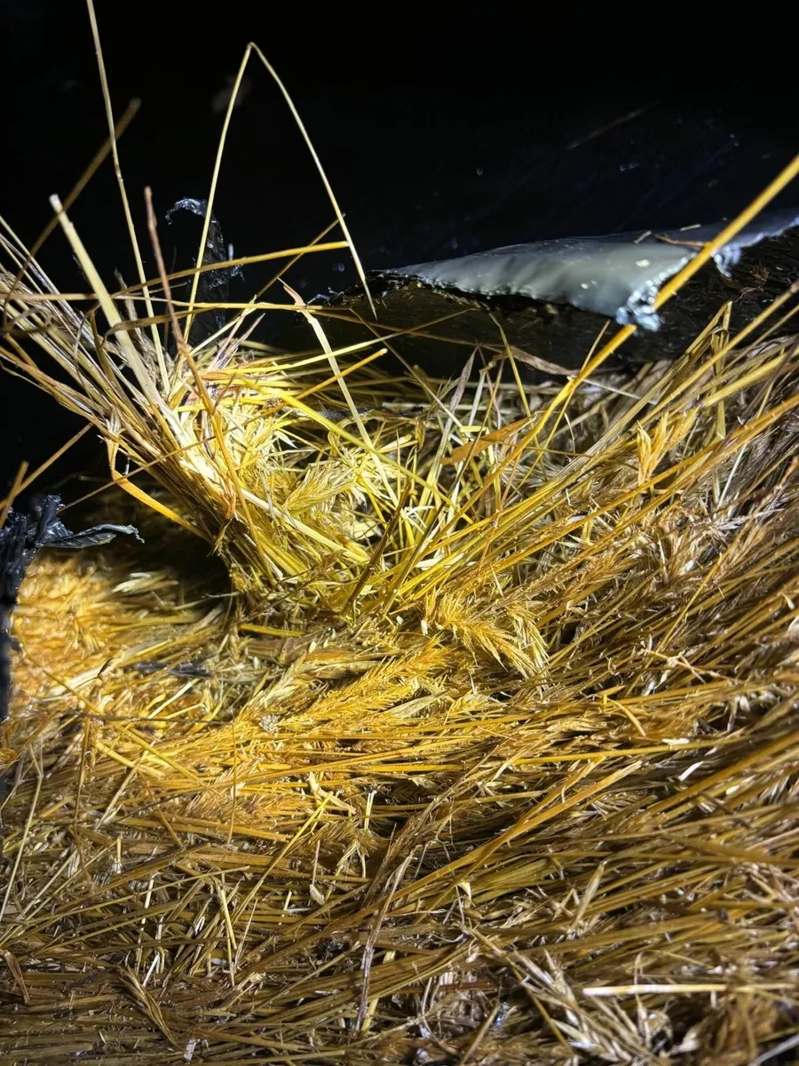 Round Bales of Silage - Image 2