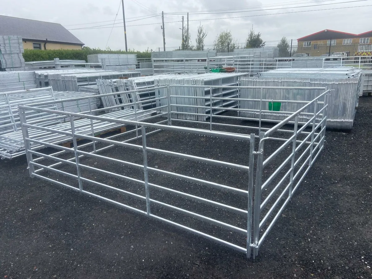 Sheep pens 5 ft - Image 1