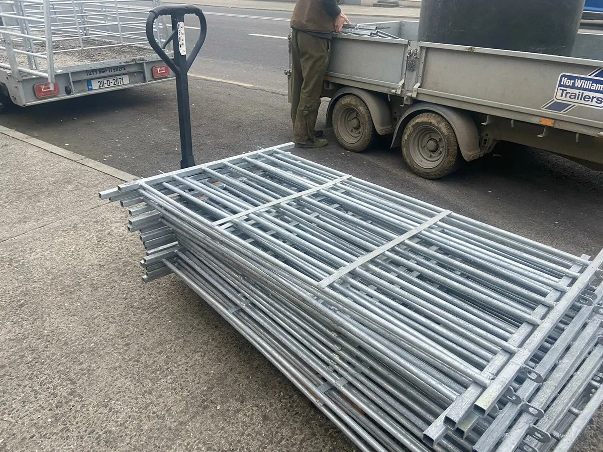 Sheep pens 5 ft - Image 4