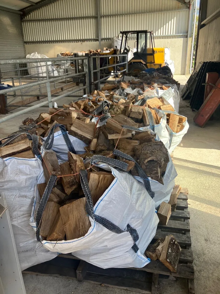 Firewood - Image 1