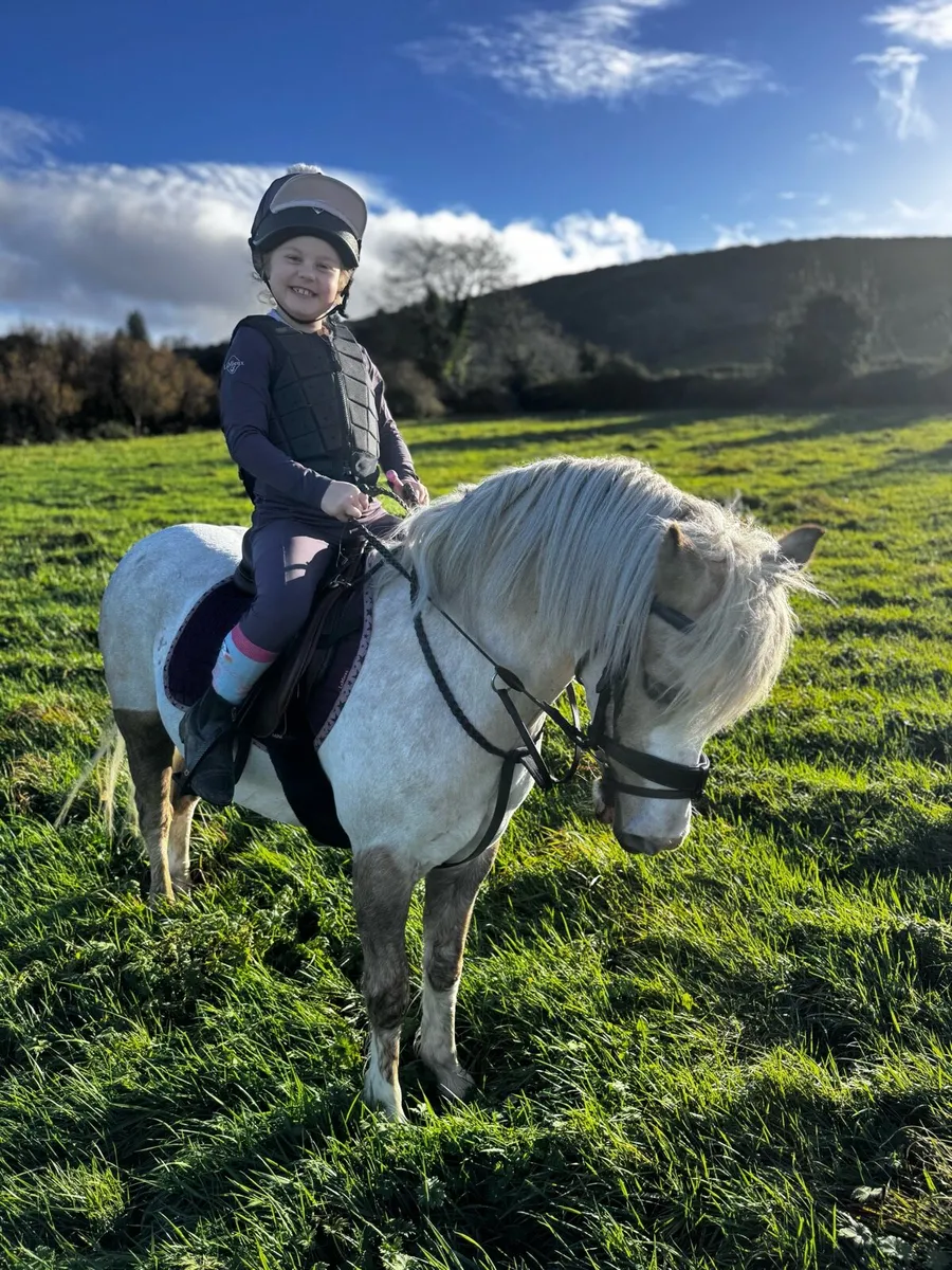 Pony club / showing / lead rein - Image 1