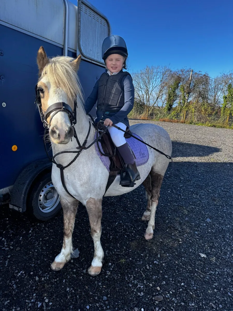 Pony club / showing / lead rein - Image 2