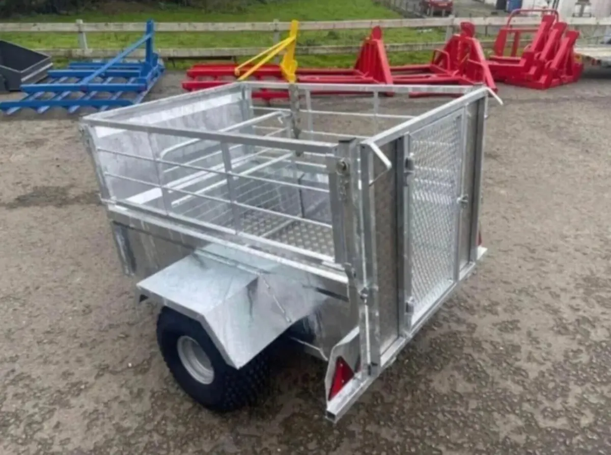 TRAILER 5x3 QUAD SHEEP WITH DIVISION GATE - Image 4