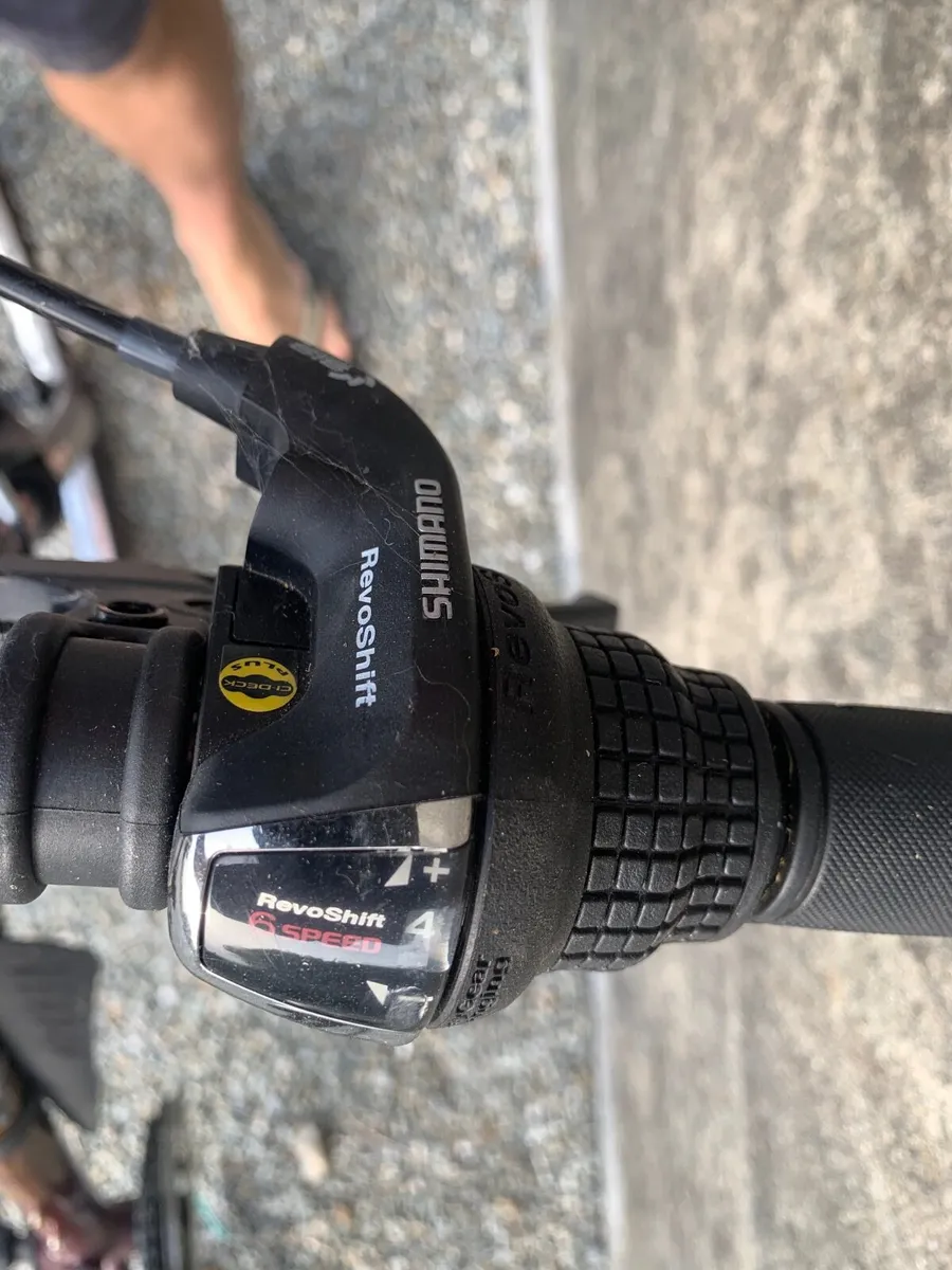 Girls Bike - Image 1