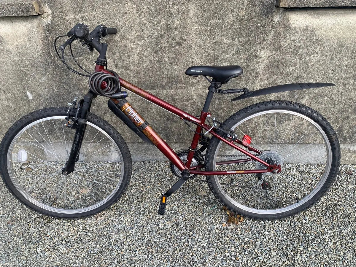 Girls Bike - Image 4