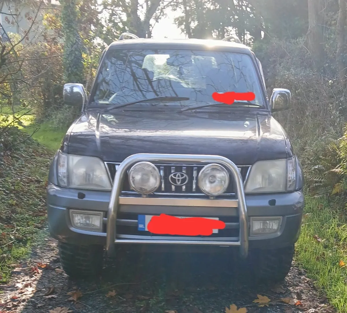 Toyota LandCruiser - Image 1