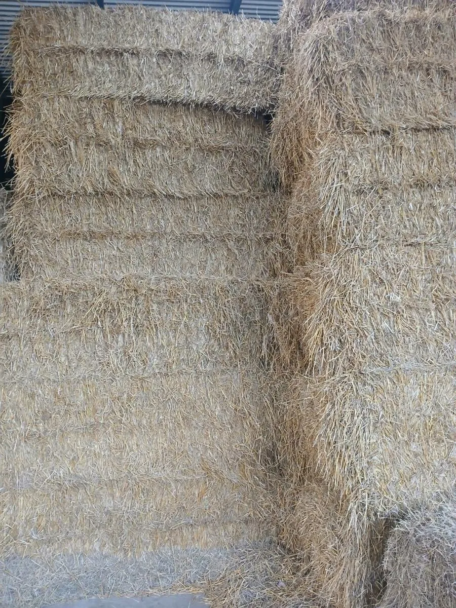 Straw - Image 1