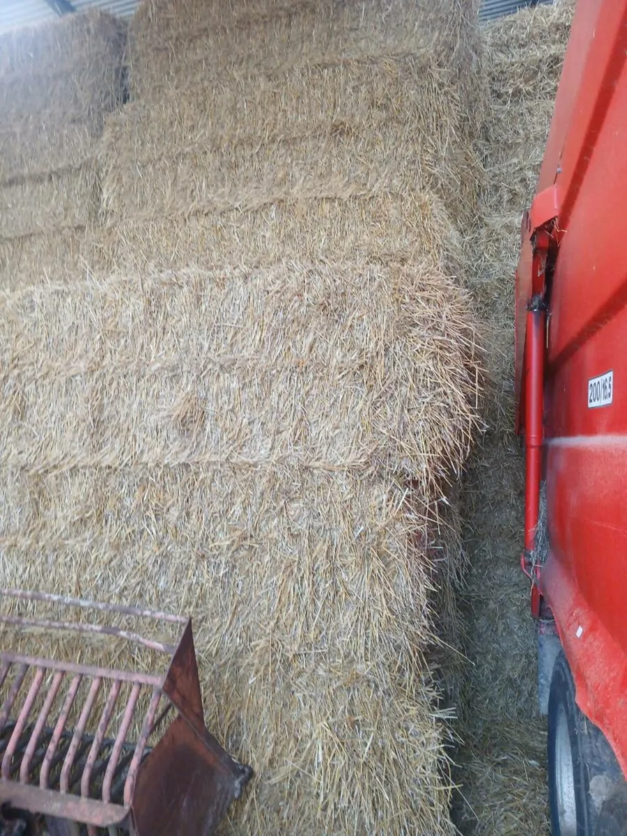 Straw - Image 2