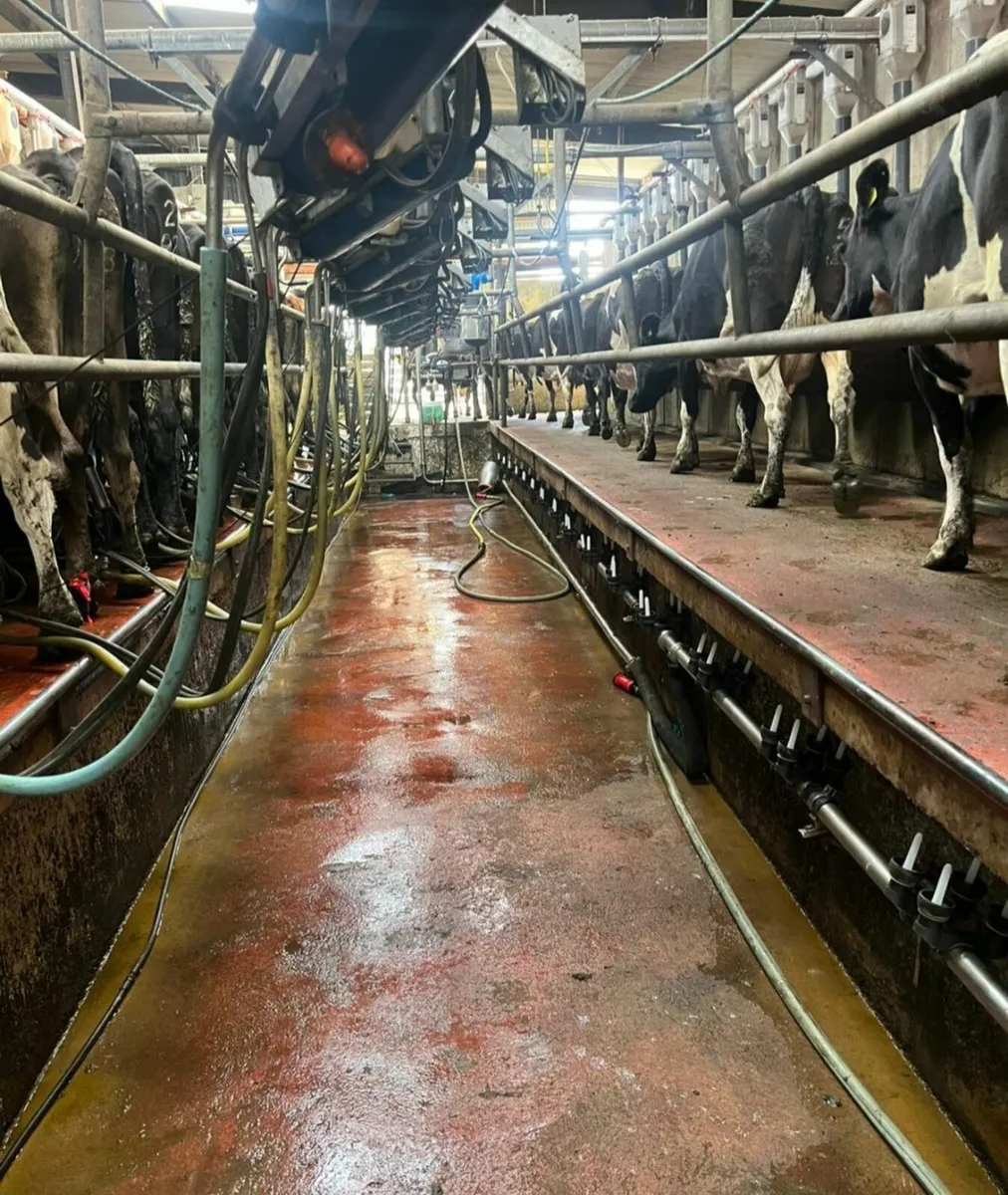 DeLaval Milking Parlour 24 unit - Image 4