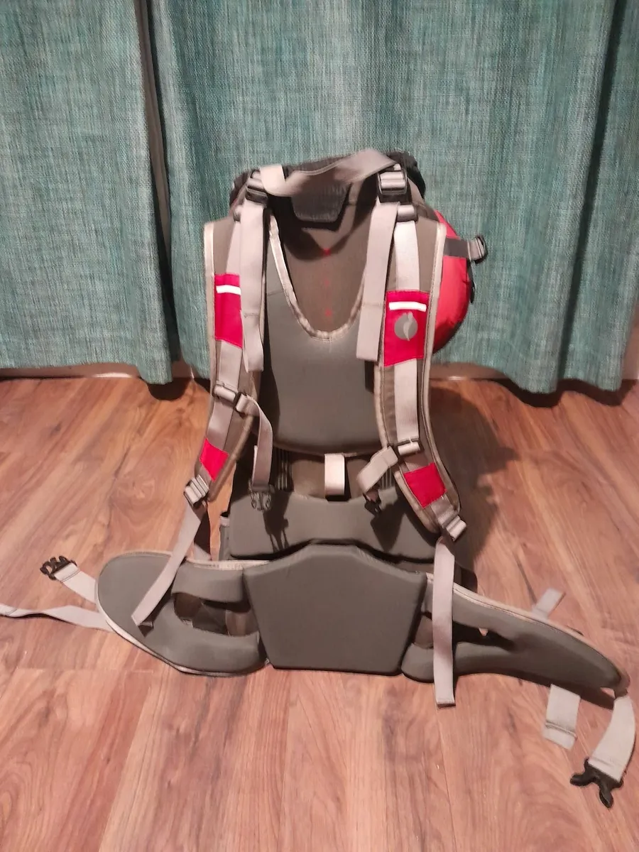 LittleLife Baby / Toddler Carrier - Image 2