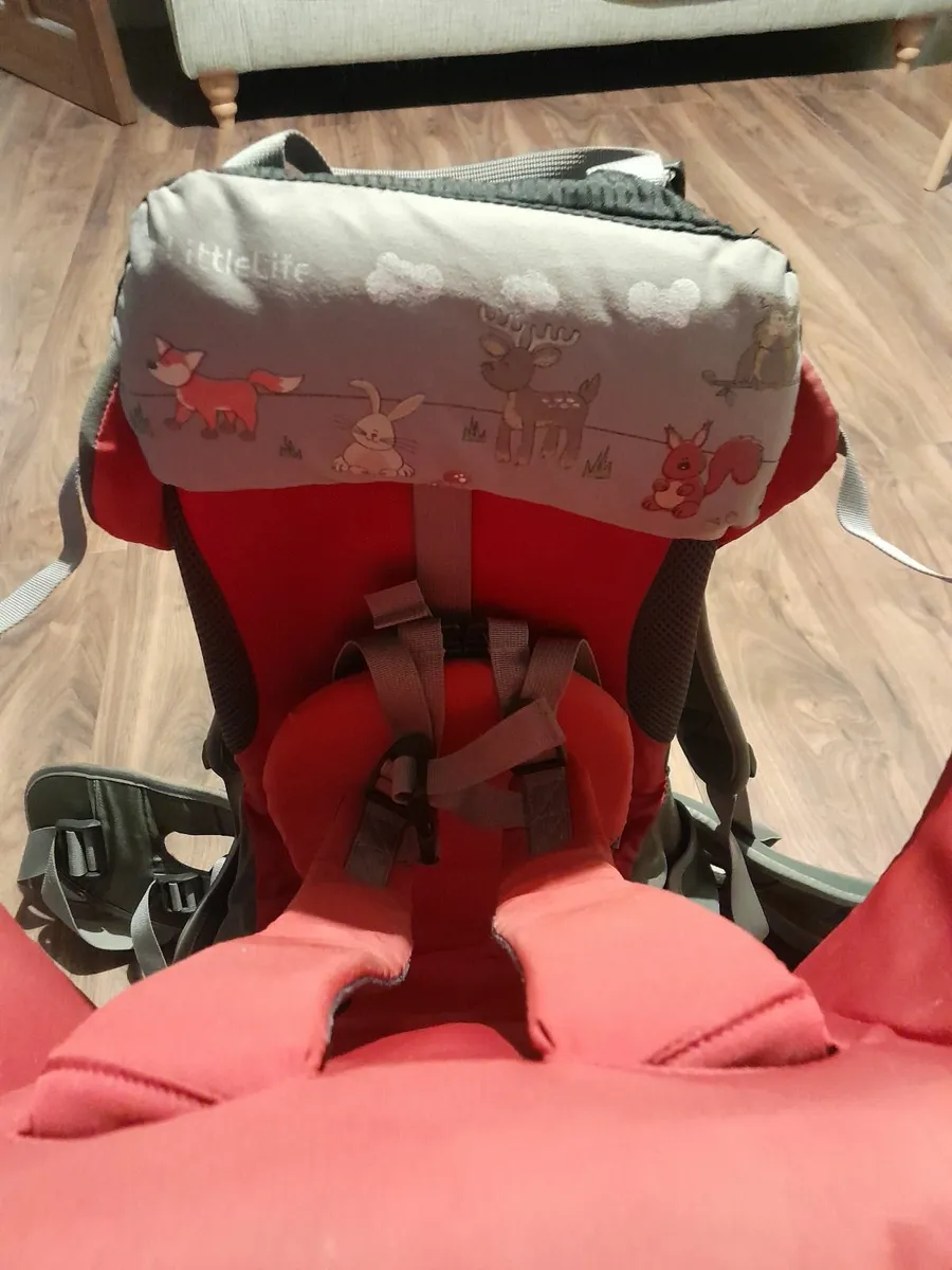 LittleLife Baby / Toddler Carrier - Image 4