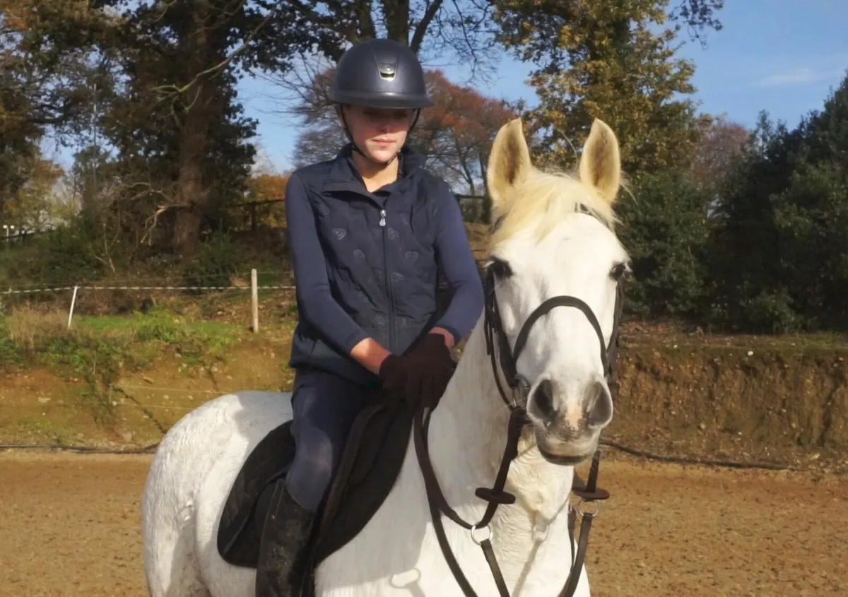 🌟 143cm Pony Club Connemara 🌟 - Image 1