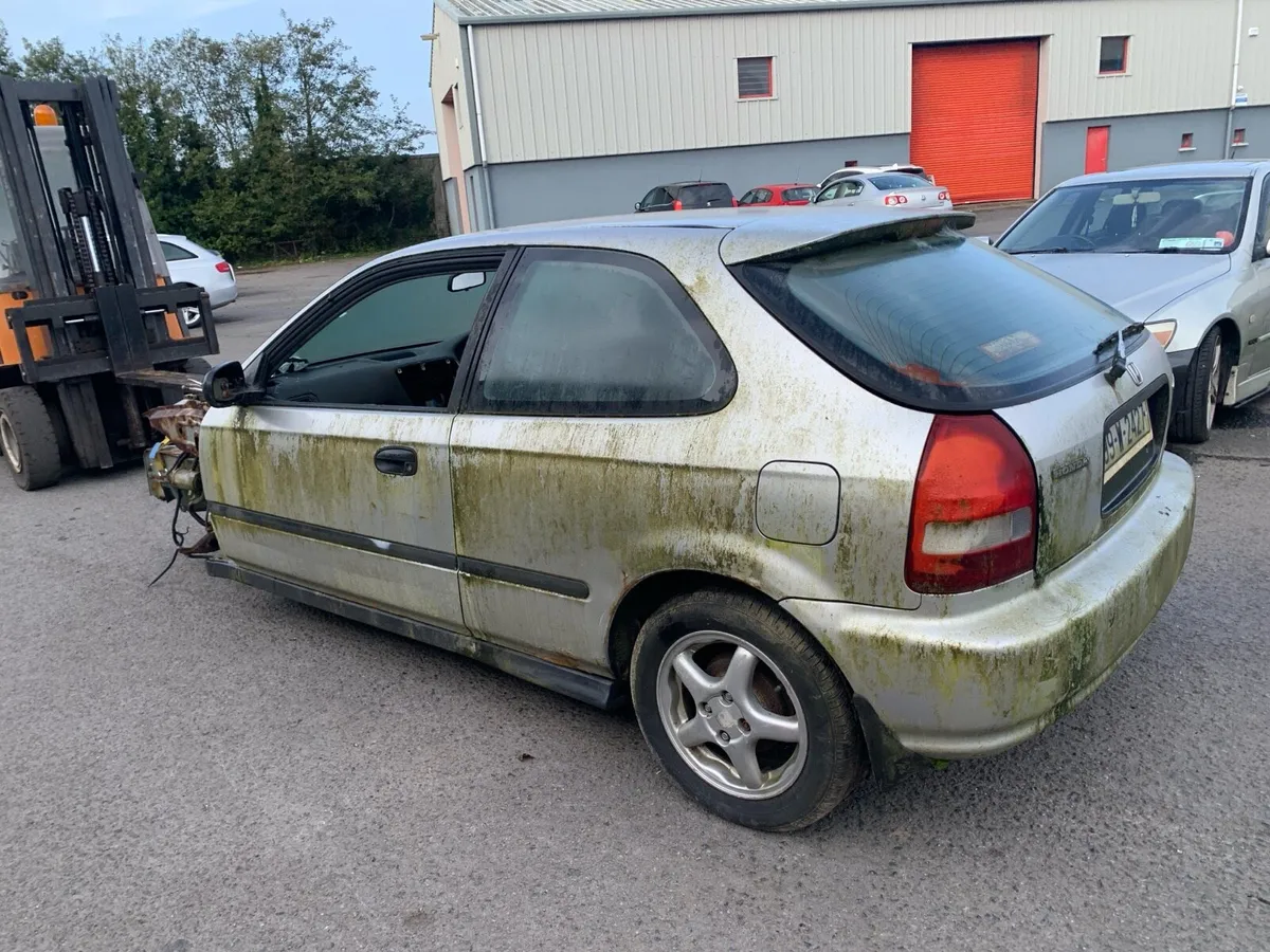 Civic Shell for cuts - Image 3