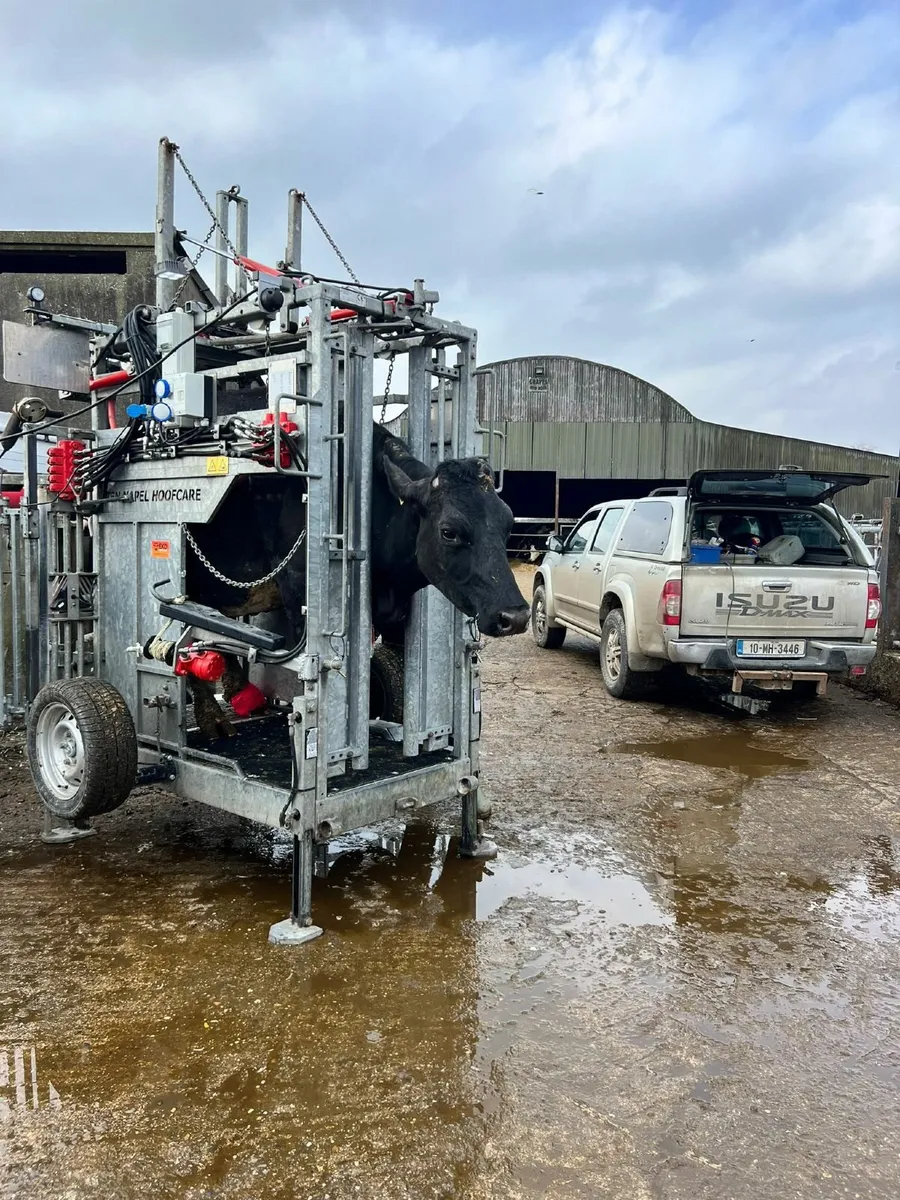 Hoof Trimming Crate - Image 1