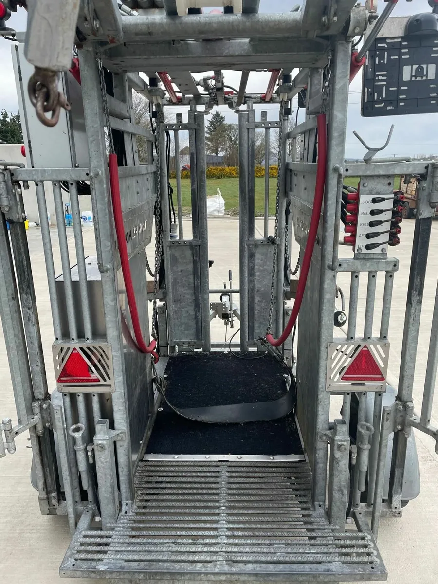 Hoof Trimming Crate - Image 4