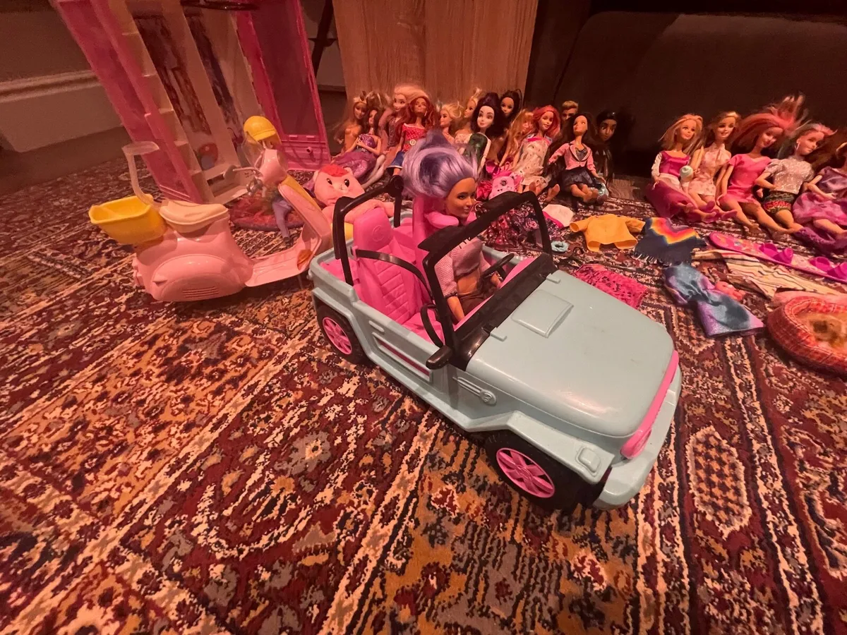 Barbie Mega Bundle – 24 Dolls + Accessories - Image 4