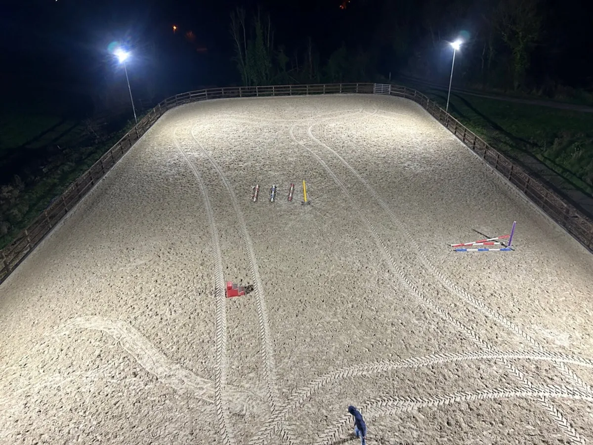 Livery in Co. Leitrim - Image 1