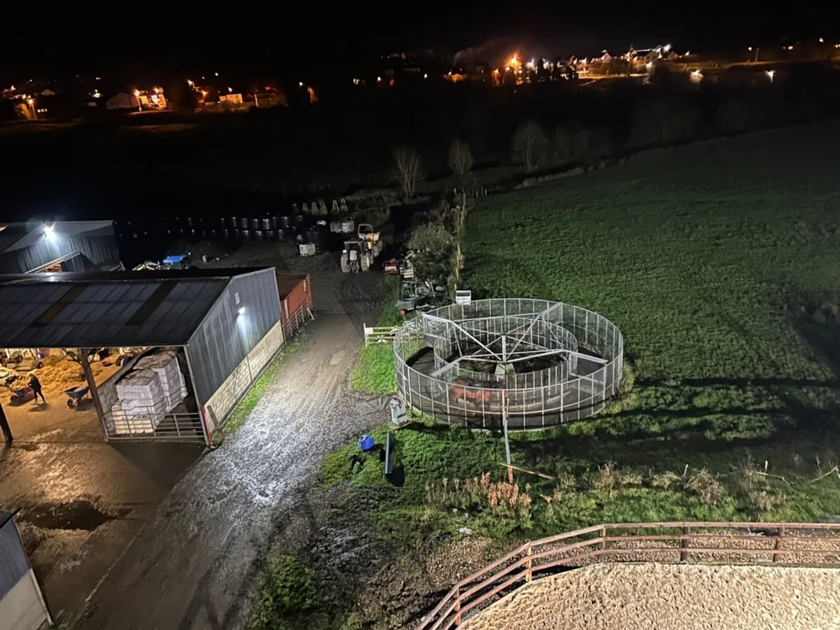 Livery in Co. Leitrim - Image 2