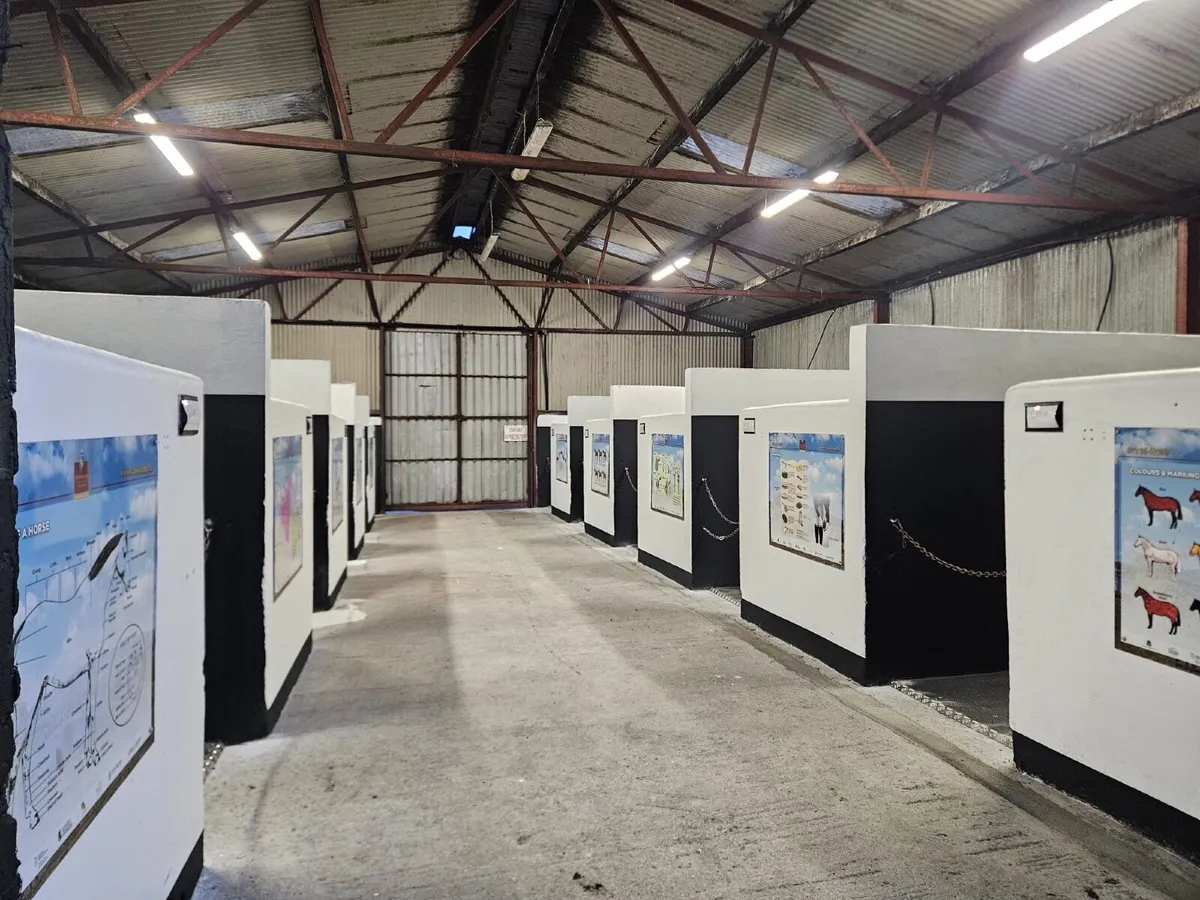 Livery in Co. Leitrim - Image 3