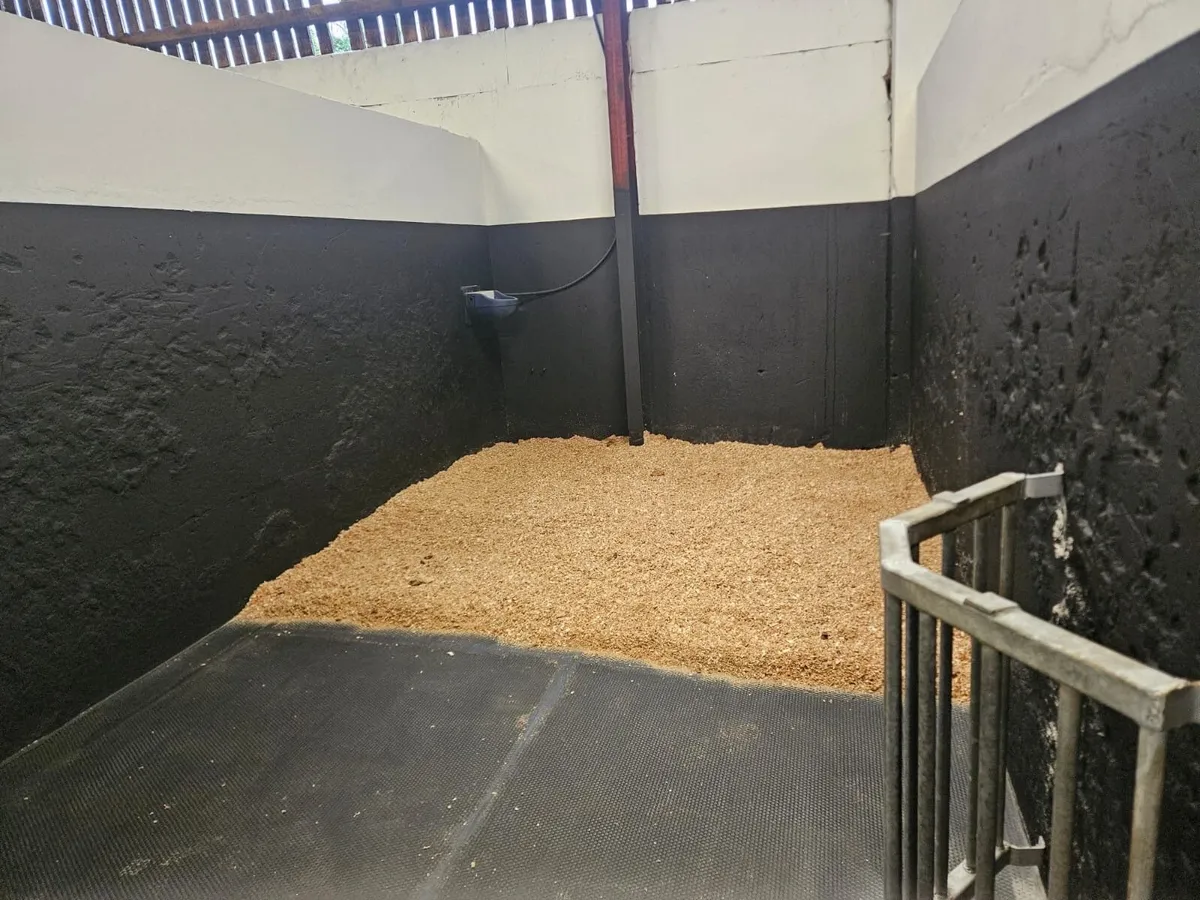 Livery in Co. Leitrim - Image 4