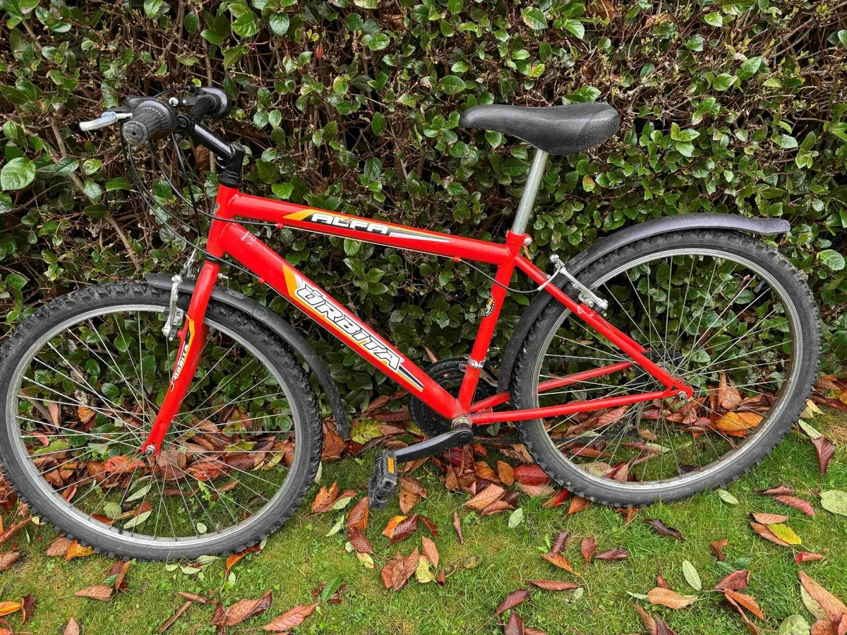 24" Mountain Bike - Image 1