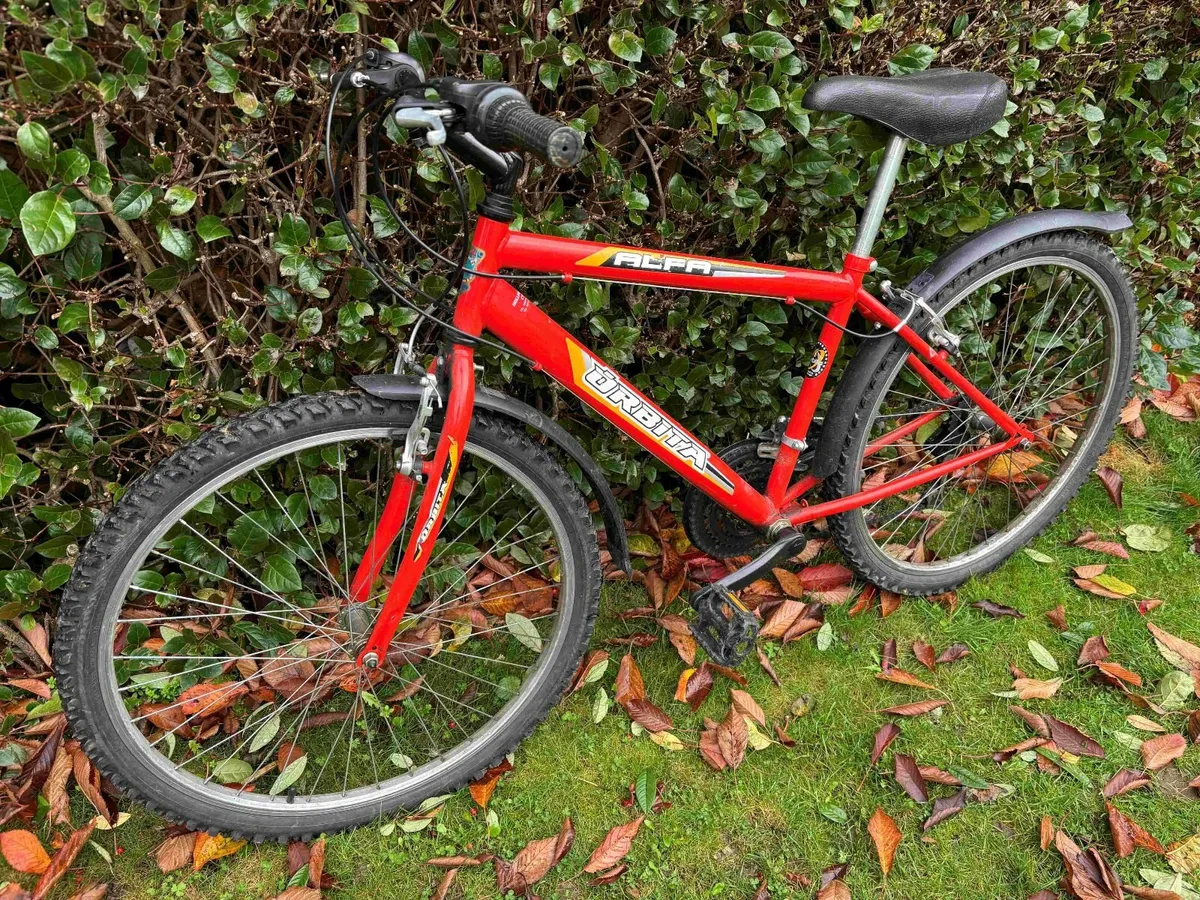 24" Mountain Bike - Image 2